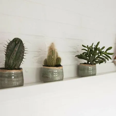 Ferienhaus Jonkerstee 226 De Zee-egel - Not For Companies