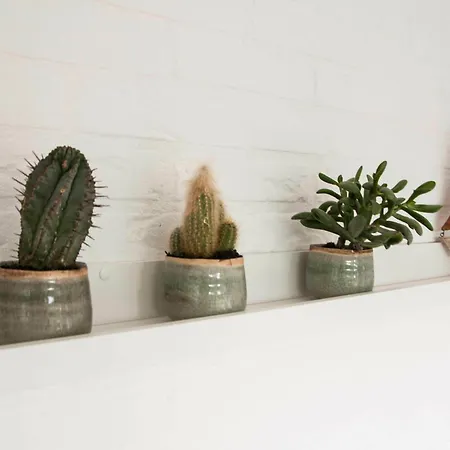 Jonkerstee 226 De Zee-egel - Not For Companies Ouddorp