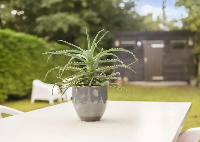 Jonkerstee 226 De Zee-egel - Not For Companies Ouddorp