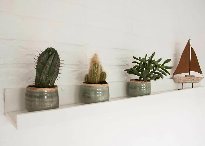 Jonkerstee 226 De Zee-egel - Not For Companies Ouddorp