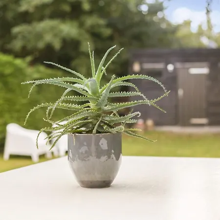 Jonkerstee 226 De Zee-egel - Not For Companies آودورب