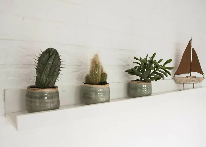 度假居 Jonkerstee 226 De Zee-egel - Not For Companies