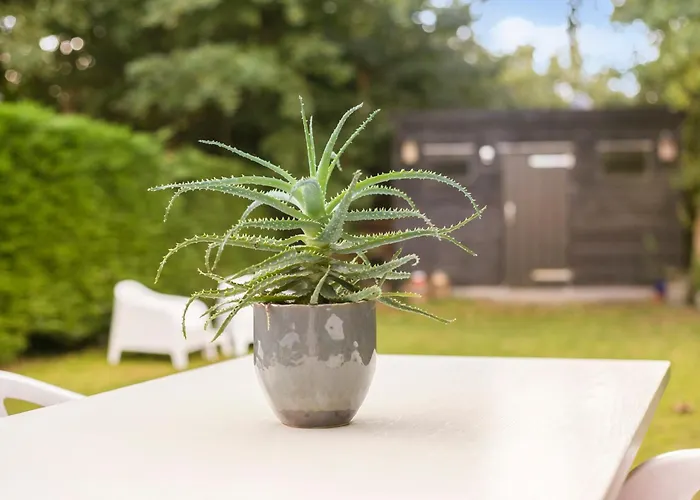 Jonkerstee 226 De Zee-egel - Not For Companies